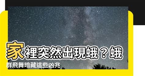 家裡突然出現蛾|家中有飛蛾是什麼原因